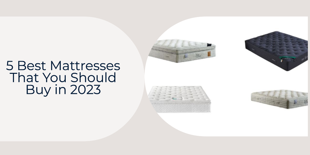 5 Best Mattresses That You Should Buy in 2023 Mattress Mick's