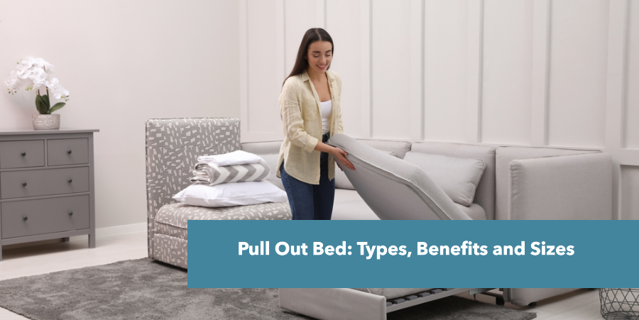 Pull out bed name discount