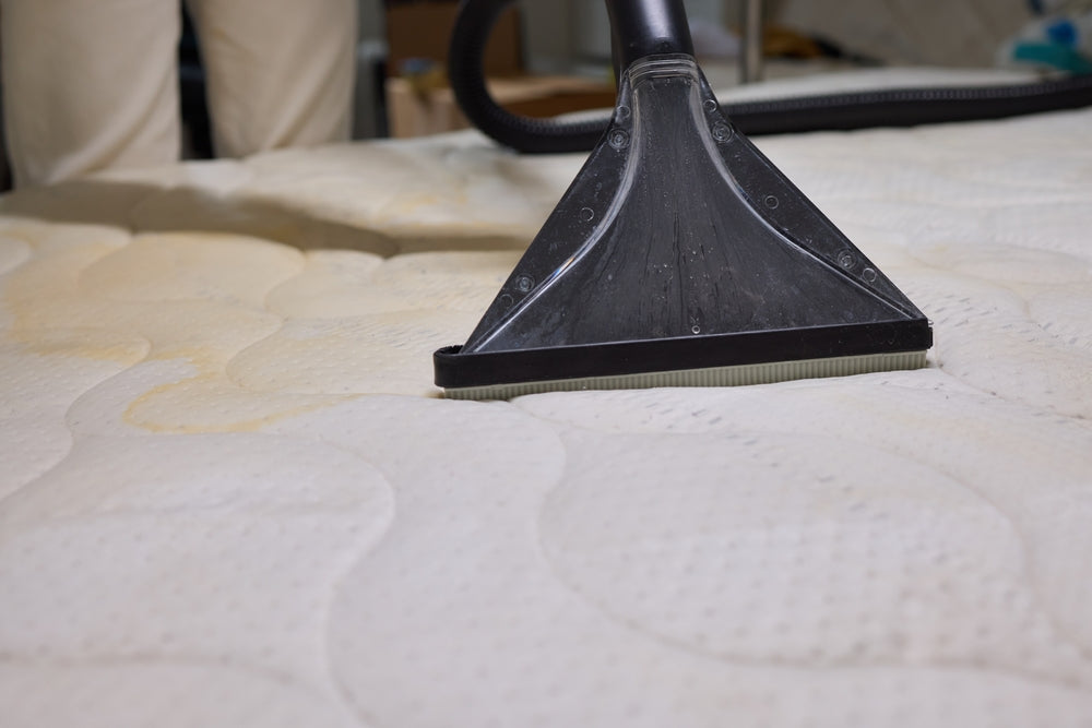 How to Get Pee Out of Mattress?