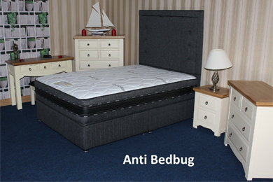Anti Bug Mattress