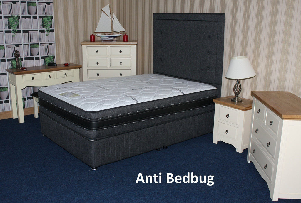 Anti Bed Bug Double Mattress