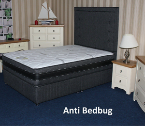 Anti Bug Mattress