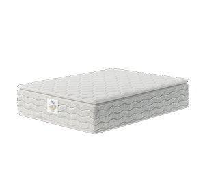 Organic Cotton Pillow Top Mattress