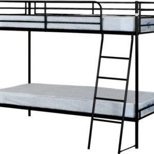 Brandon bunk bed