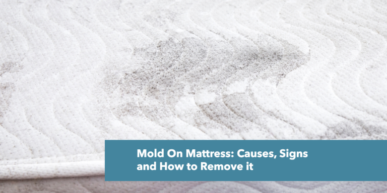 Mold On Mattress: Causes, Signs and How to Remove it